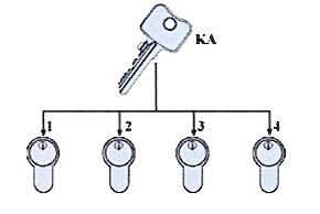Key Alike System